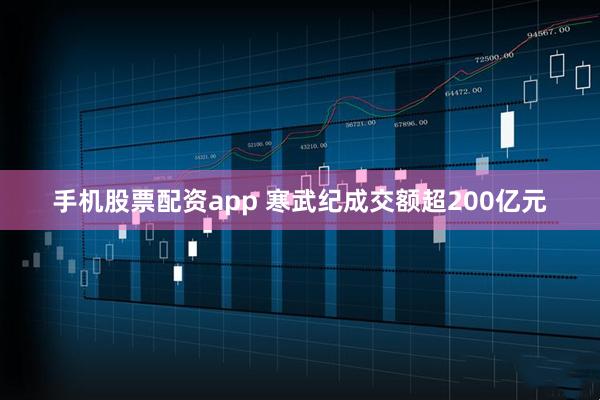 手机股票配资app 寒武纪成交额超200亿元