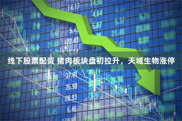 线下股票配资 猪肉板块盘初拉升，天域生物涨停