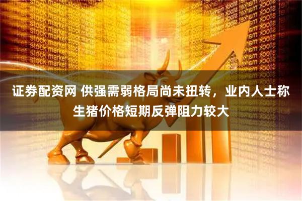 证劵配资网 供强需弱格局尚未扭转，业内人士称生猪价格短期反弹阻力较大